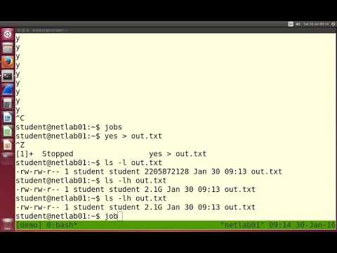 Linux Command Line: Processes (6 of 8)