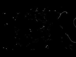 Dust and Scratches Black and white Screen Pack 4K // Free download overlay