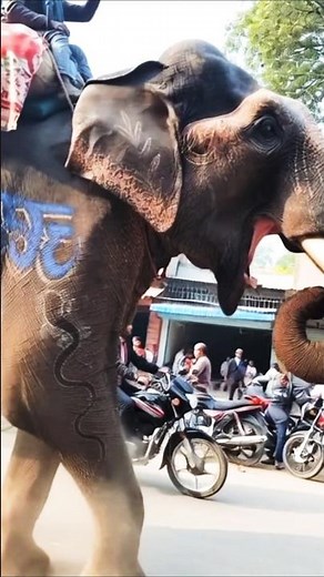 Whose wave will prevail in Uttar Pradesh #shorts #bsp #TrendingShorts