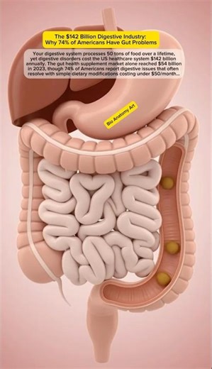 The $142 Billion Digestive Industry: Why 74% of Americans Have Gut Problems