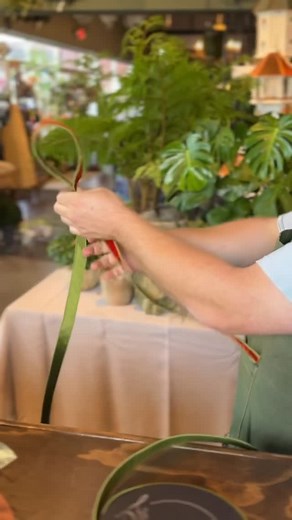Fall wreath goals 🍂✨ Look how beautifully James mixed textures and patterns in this stunning bow! Simply gorgeous and full of autumn charm. 🍁🎀 #FallDecor #WreathGoals #bloomsstyle | Adrienne Hicks Garanich