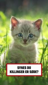 Så har du risiko for at udvikle type 2-diabetes. Det kan nemlig ramme alle. Uanset om du er til biler, kattekillinger eller hundehvalpe. Flere og flere får desværre sygdommen. 👇 Tag en lynhurtig TEST, og kend din risiko – så du kan undgå de dødelige konsekvenser. | Diabetesforeningen