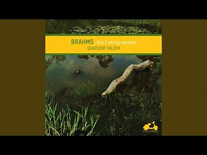 String Sextet No. 1 in B-Flat Major, Op. 18: I. Allegro ma non troppo