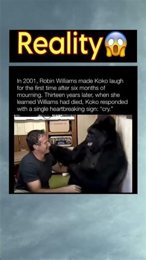 Robin Williams & Koko the Gorilla 🥺 #Emotional #Shorts #ViralShorts #Facts