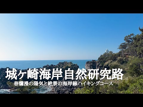 [散策路] 伊豆の城ヶ崎海岸ハイキングコースを歩く Jogasaki Coast Hiking 2023