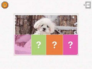Find Them All - Animal Collection | Photo Quiz