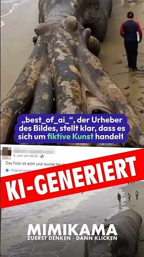 "Gigantischer Oktopus am Strand!" – Ein echtes Foto? Sicher nicht!!