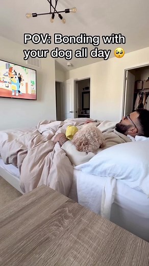 Create Lasting Memories with Luna the Mini Cockapoo 🐾