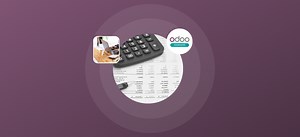 Odoo Webinar - La comptabilité 100% en ligne