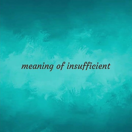 Insufficient | meaning of Insufficient