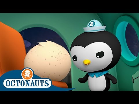 Octonauts - The Mysterious Egg | Cartoons for Kids
