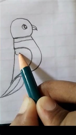 parrot 🦜 drawing by number #shortvideo #tricks #drawing