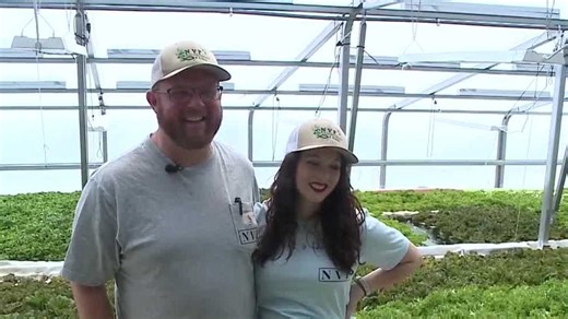 'Our fish should be completely indistinguishable from wild caught': Here's how a Nebraska family farms 25 tons of salmon every year