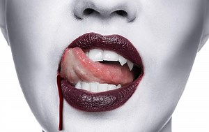 The Vampire Next Door – review