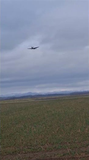 alpi pioneer 400 taking off from scone #aviation #plane #fyp