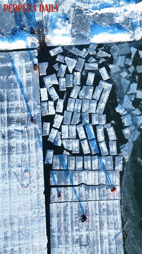 Every delicate, fairyland-like ice sculpture in Harbin, northeast China’s Heilongjiang Province, begins with ice cutting and harvesting. Salute the hard work behind the scenes that brings this frozen wonderland to life. | People's Daily, China