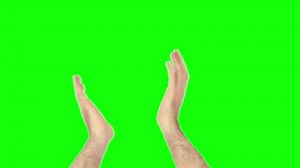 Clapping Hands On Green Screen 4k: стоковое видео (без лицензионных платежей), 16916059 | Shutterstock