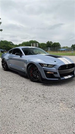 GT500 Super Snake