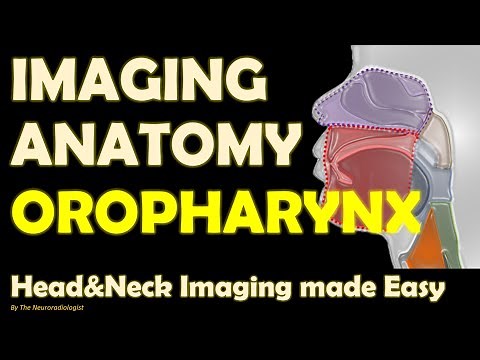 Imaging Anatomy of the pharynx (part 3): oropharynx