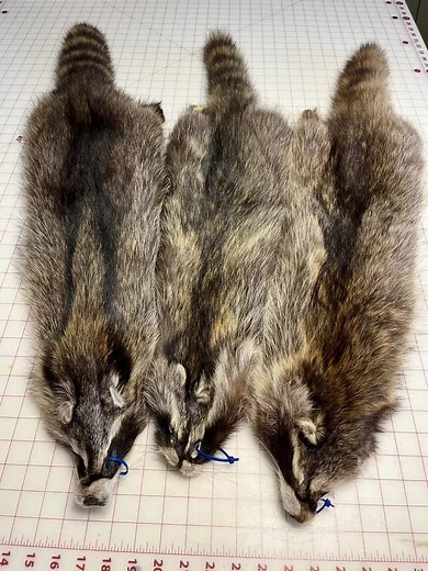 Darling Leather And Fur LLC on TikTok