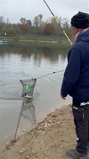 💪🏼🔝😎 GRANDE OTELLO 💪🏼🔝😎 | Lago Airone