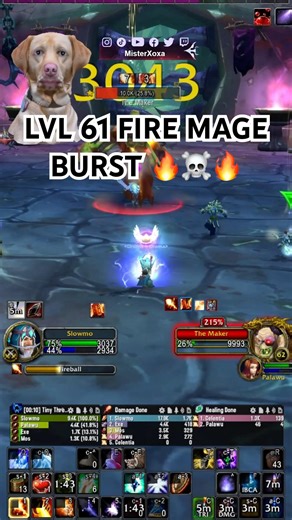 LVL 61 FIRE MAGE BURST 🔥☠️🔥 #worldofwarcraft #gaming #twitch #wow #game #games #gameplay #gamer