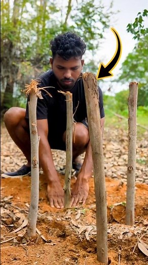 ✅ This Guy Built an Organizing Table in the Forest — Genius🌳 #survival #camping #outdoors #bushcraft