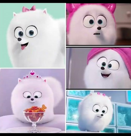 Gidget from secret life of pets 1 and 2