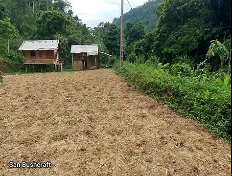 Gardening to grow corn, bad guys come to threaten / Suvivel alone | San Bushcraft