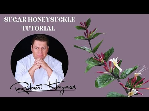 How to Make a Sugar Flower paste - Gum paste Honeysuckle with Robert Haynes