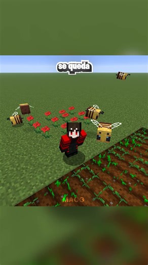 The Best Way to Grow Crops