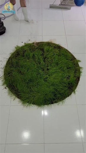 Exploring Reddit's Impact in France