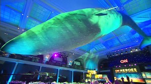 CNN Heroes: 'Backstage Pass'