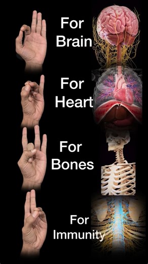 Yogacharya Ankit kukreti on Instagram: "Mudras for brain,heart,bones,immunity- Practice during meditation- . . . . . . . . . . . #yogalife #mudra #practise #yogalife #yogalove"