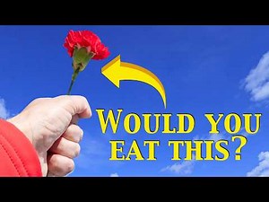 Bet You Don't Know THIS About Carnations | Unbelievable Flower Facts | All About Carnation Plants