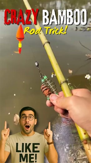 CRAZY BAMBOO ROD TRICK! Catching a whole school of fish in one pull!