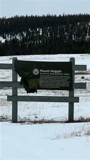 Freedom & Defiance back in Montana paying tribute to fallen Liberty & Justice where they ran free