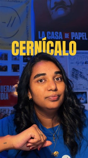 El vuelo del cernícalo: curiosidades y biología del rapazuelo