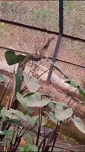 Where Smart People Are Investing for the Future? Full video link in comment - | The Growth Podcast