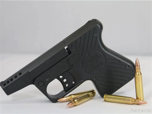 国外视频合法拍摄：美国Heizer Defense（海泽防务）出品：AR15-PAR1袖珍型的单发手枪，采用.223口径_哔哩哔哩_bilibili