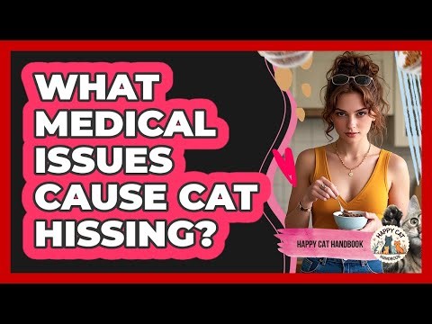 What Medical Issues Cause Cat Hissing?