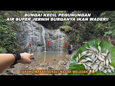 BERBURU DAN MEMASAK DI SUNGAI PEGUNUNGAN!! Mancing wader teknik kumbul umpan rasbora jasuke