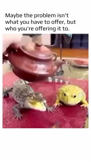 SUCCESS💰 MOTIVATION🚀 BUSINESS💰 on Instagram: "1997년 개봉한 영화 Titanic은 잭과 로즈의 운명적인 사랑을 통해 비극 속에서도 오래 남는 감정의 깊이를 보여주는 작품입니다. 화려한 연출보다 인물의 감정에 더 집중한 제임스 카메론 감독의 스타일은 지금 다시 봐도 묘하게 가슴을 울리죠. 배가 침몰하는 장면이 아닌, 두 사람이 서로를 바라보던 순간들이 더 강하게 기억에 남는 영화이기도 합니다. 이 감정을 완성해주는 곡이 바로 셀린 디온의 *“My Heart Will Go On”*입니다. 처음 들으면 잔잔한데, 어느 순간 자연스럽게 가슴이 벅차오르는 느낌을 줍니다. 특히 후반부의 고조되는 보컬은 영화 속 잭과 로즈의 마지막 장면과 겹쳐지면서 괜히 마음이 서늘해지기도 하고요. 많은 분들이 “이 노래가 나오면 왜 그 장면이 자동으로 떠오르는지 모르겠다”고 말하는데, 그만큼 영화와 음악이 자연스럽게 얽혀 있는 곡입니다. 1998년 아카데미 주제가상