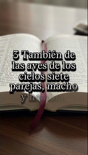 Génesis,Capitulo📖 7: 1-6