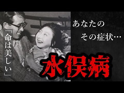 【水俣病】日本四大公害病の一つ。症状一つでも…当てはまりますか？