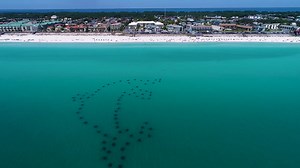 58K views · 1.8K reactions | One of those days in Destin where the water is as clear as it comes ⛱ Visit South Walton VISIT FLORIDA | DestinFlorida.com | Facebook