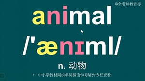 动物animal音标拼读方法讲解