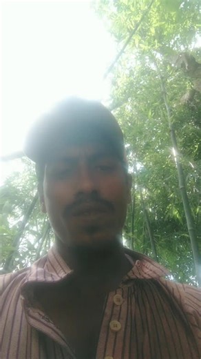 werf (@werf5534)’s videos with