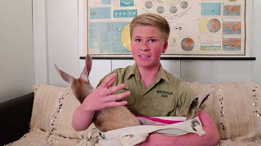 Bonus Web Video: 13-year-old animal expert Robert Irwin shares more facts about red kangaroos. | The Tonight Show Starring Jimmy Fallon