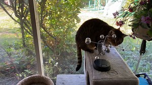 4.4K views | Jupiter Perpetual Motion Art https://www.youtube.com/watch?v=wfHBC44ymMQ | Daily Rad | Facebook